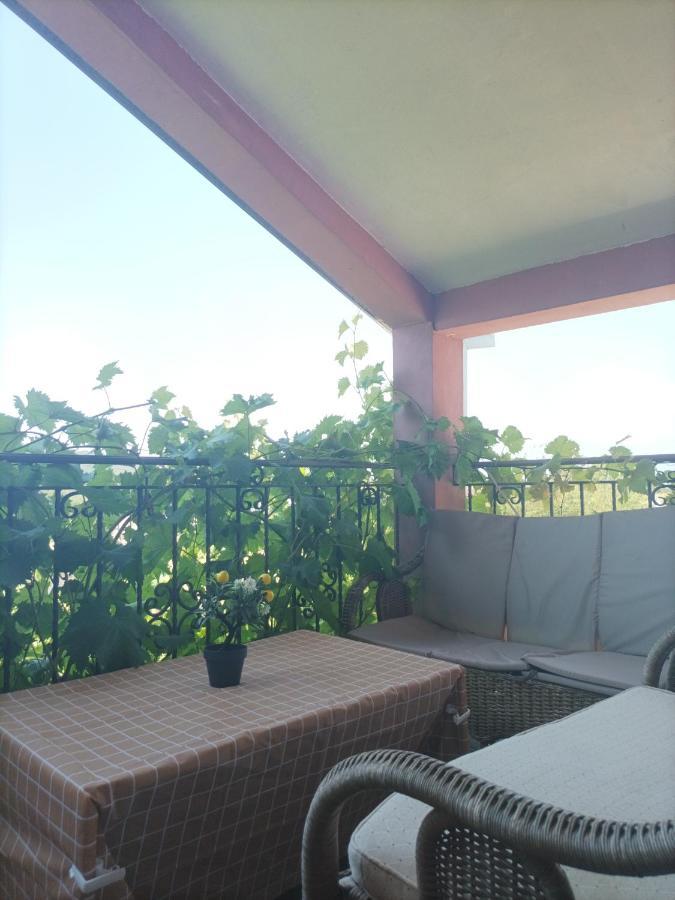 Apartman Balsa Kotor Dış mekan fotoğraf