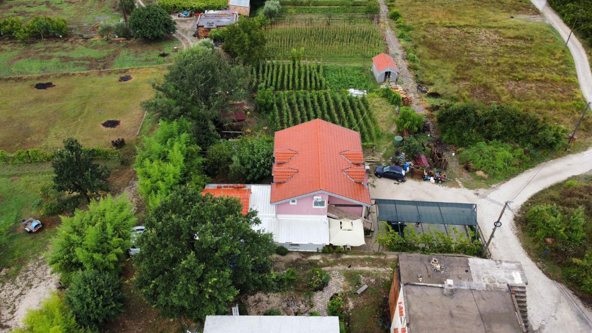 Apartman Balsa Kotor Dış mekan fotoğraf